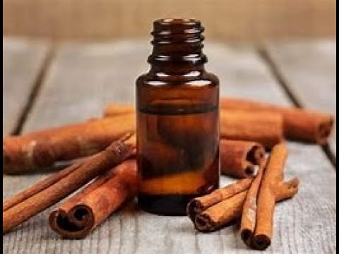 Cinnamon Bark Essential Oil