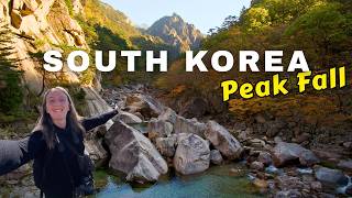 Seoraksan in Peak Fall 🍁 | Korea’s Most Beautiful National Park?