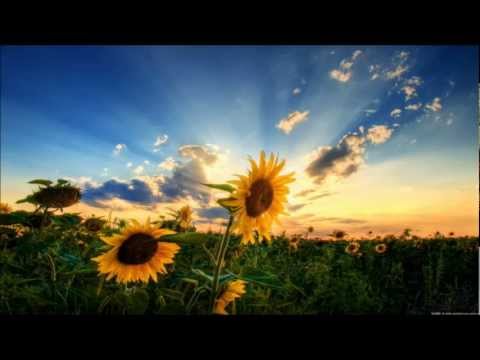 Daniel Kandi Pres 147 - Insert Generic Title