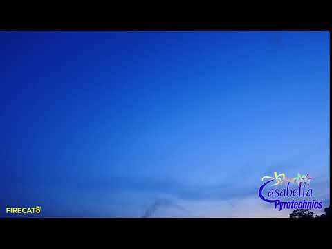 Dominator 62mm White Peony