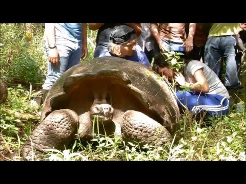 Vote for EPI Galapagos