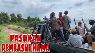 Download lagu Hunting squirrel pests with Lampung snipers‼️MBG menu from hunting points⁉️ mp3