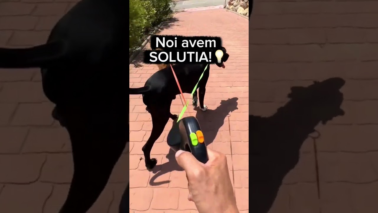 Lesa Dubla Retractabila 2 Caini Rotire 360 Grade Anti-Incurcare
