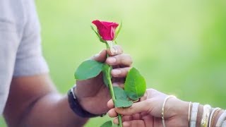 ❤️🌹 Rose Day 7 Feb - New Love WhatsApp Status Video 2019 🌹❤️