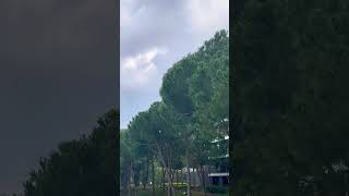 Download lagu 🌟Voyage Belek🌟Winter time☔️February#turkey #winter #voyage #voyagebelek #travel #зима #вояж mp3