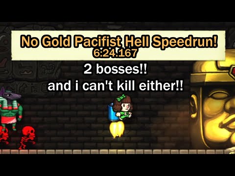 Even the Gamedev Couldn't Believe this Speedrun! (No Gold Pacifist Hell% WR)