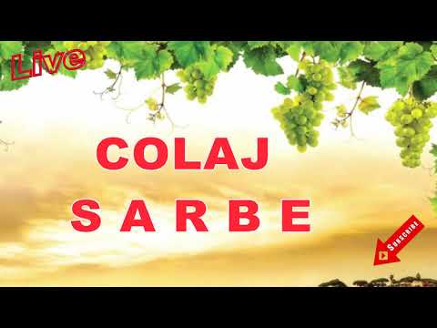 SARBA CRIMINALA SUPER CHEF SI VOIE BUNA - COLAJ SARBE MUZICA DE PETRECERE -  █▬█ █ ▀█▀