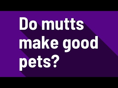 Do mutts make good pets?