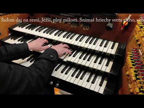 JKS 239 - Bože, tvojej velebnosti (Dóm sv. Alžbety)