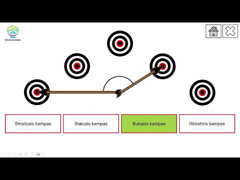 Kampų rūšys (Nr. 230)