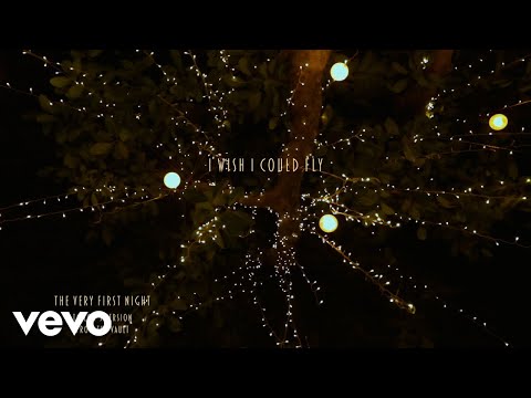 Taylor Swift – The Very First Night (Lyric Video)