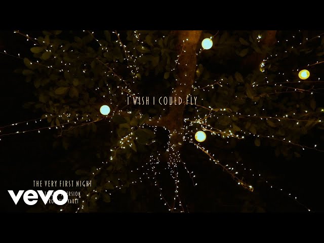 The Very First Night Lyrics