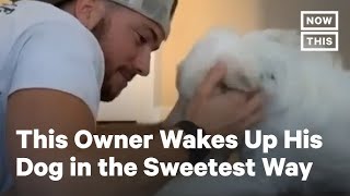 This Blind And Deaf Dog Gets Woken Up In The Most Sweetest Way