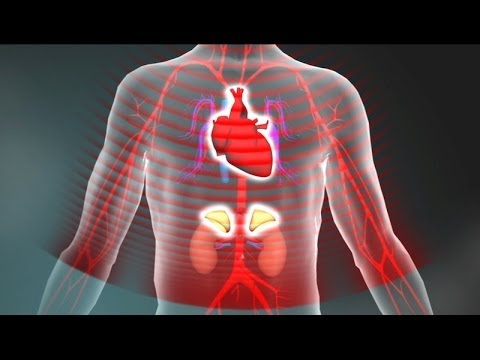 Toxic Stress Derails Healthy Development