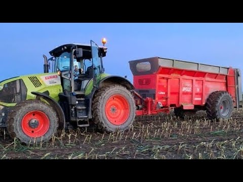 OPOROWE KOSZENIE KUKURYDZY GR GOSTKOWO😎