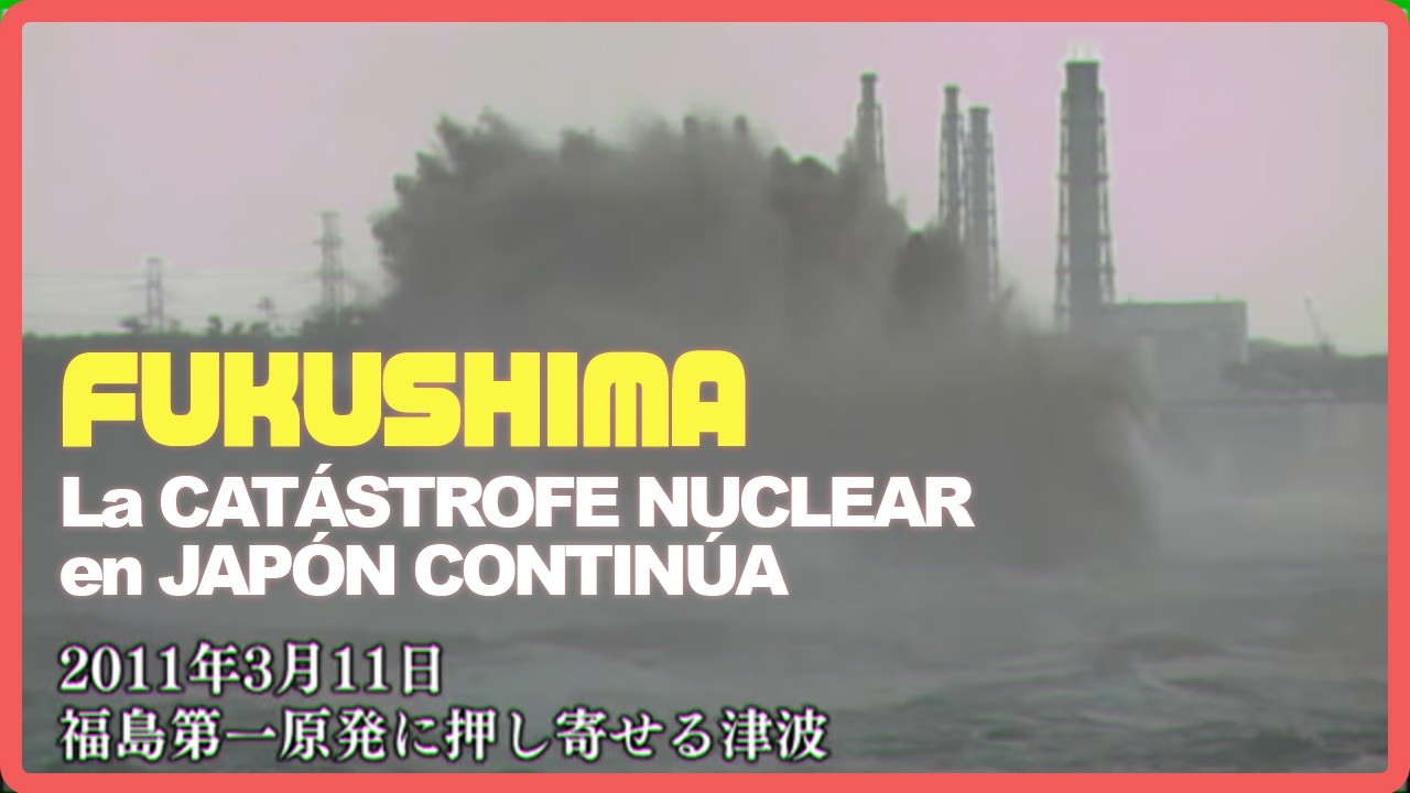 TOHOKU: Catástrofe nuclear en FUKUSHIMA / Chisme de Kotatsu