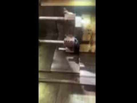 2011 MAZAK SLANT TURN NEXUS 500 CNC Lathes | Toolquip, Inc. (1)