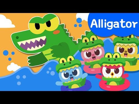 download lagu mp3 mp4 Baby Alligator Song, download mp3 Baby Alligator Song free download, download mp3 Baby Alligator Song