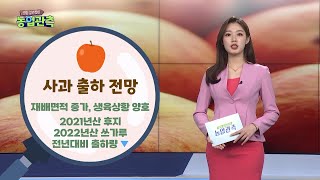 [영농길라잡이 농업관측] 2022년 7월 과일·과채