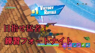 更なる高みを目指す！フォートナイト配信