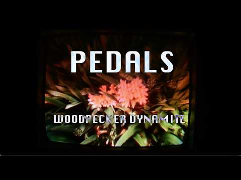 Woodpecker Dynamite video