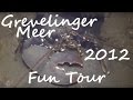 Diving - Grevelinger Meer 2012 - Europa, Grevelinger Meer, Niederlande