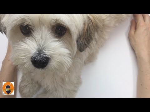 Stricken wir! - Basics 22 - Die Magic Loop Technik