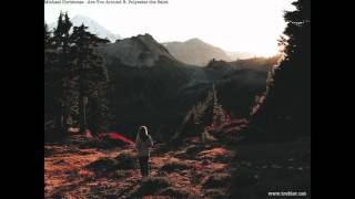 Michael Christmas - Are You Around ft. Polyester The Saint