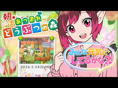 【あつ森】久々配信!みんな元気だった?変わり果てた(?)ひつ島を大捜索!(2026.5.24)【朝活】 #いわて島 #switch2edition #あつまれどうぶつの森