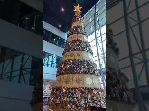 T W Rineholt - Christmas Tree Hills - Misc Originals