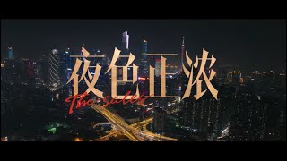 20240624《夜色正浓》首发预告