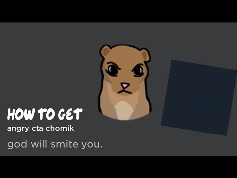 Find the chomiks but bad (74) | How to get Angry Cta Chomik