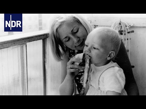 Zurück in die Platte | Doku & Reportage | NDR