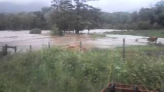 preview picture of video 'Wallingford Vt flooding. Behind Colvin farm Monday AM'