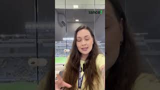 PALMEIRAS ESCALADO PARA PEGAR O MIRASSOL!