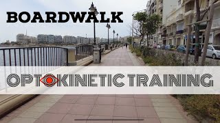 Advanced Vestibular Exercise: Boardwalk