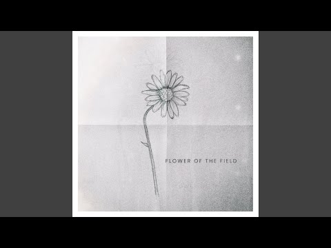 Flower Of The Field