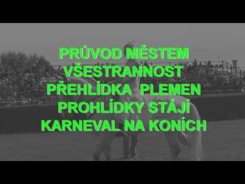 DS videopozvánka Koně v akci 2017 s tématem Kůň a svatební veselí