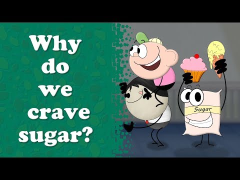 なぜ私たちは砂糖にはまってしまうのか？| 話題の砂糖｜#aumsum (Why are we addicted to Sugar? | #aumsum)