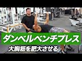 ベンチプレスより効果大? 大胸筋を肥大させるダンベルプレスのやり方【ビーレジェンド プロテイン】