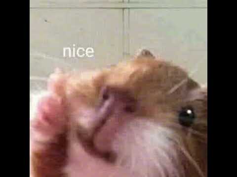 Future rave type beat "nice"