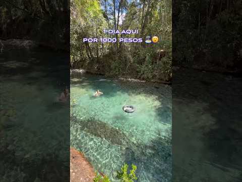 Camping Los Alamos, Llanada Grande, Cochamo, Región de los Lagos, Chile 🇨🇱