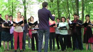 Trois beaux oiseaux du paradis de Maurice Ravel