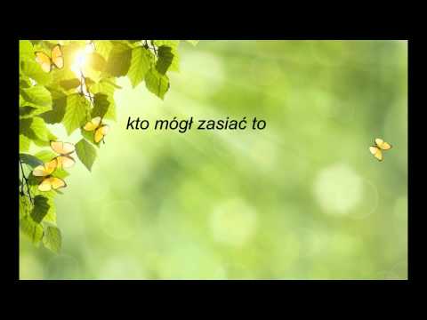 W dzikie wino zaplątani - Patryk Dybka (Cover)+tekst