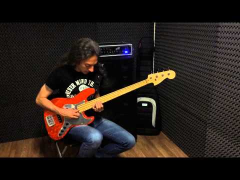 D'Addario ... FLEX STEELS ... String Test by MATTEO BALANI!!!