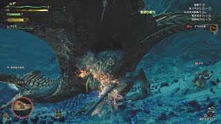 レ・ダウを狩りまくった結果