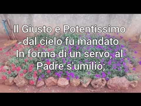 284-CCB LOUVOR NOS CEUS ALTÍSSIMO#ccb #detinhasantos