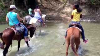 preview picture of video 'Horseback riding in Dominican Republic rancho pinto'