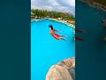 Different Animals Cliff Diving Styles In Bluetreephuket