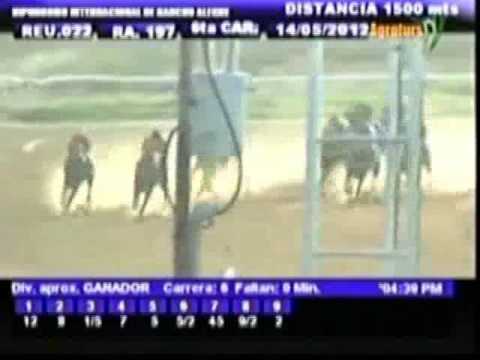 Resumen Lunes, 14 de Mayo de 2012 - Rancho Alegre